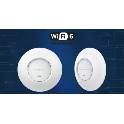 Grandstream GWN7664E Indoor Access Point